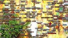  ���Ŵ�����ҳ�����ﻻ������