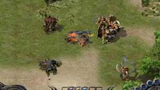 比奇武器店坐标 比奇武器店坐标